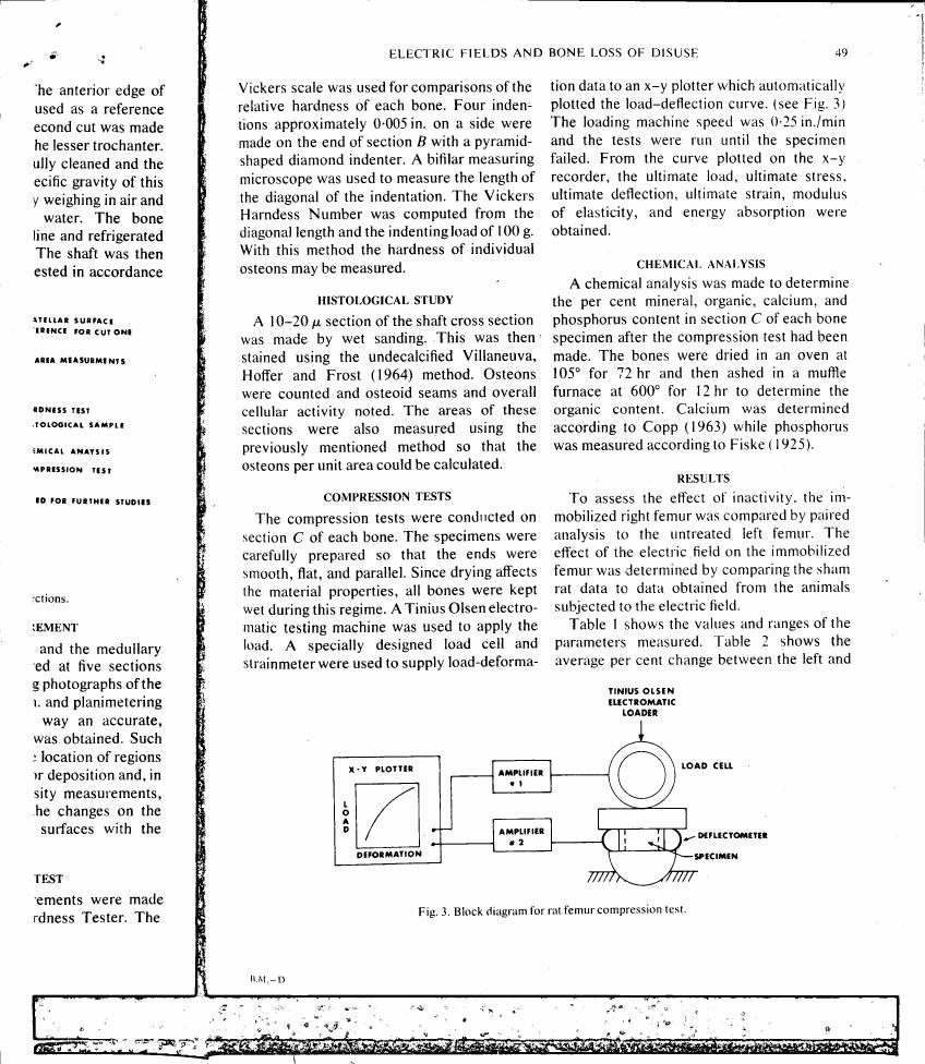 Block diagram for rat femur compression test.