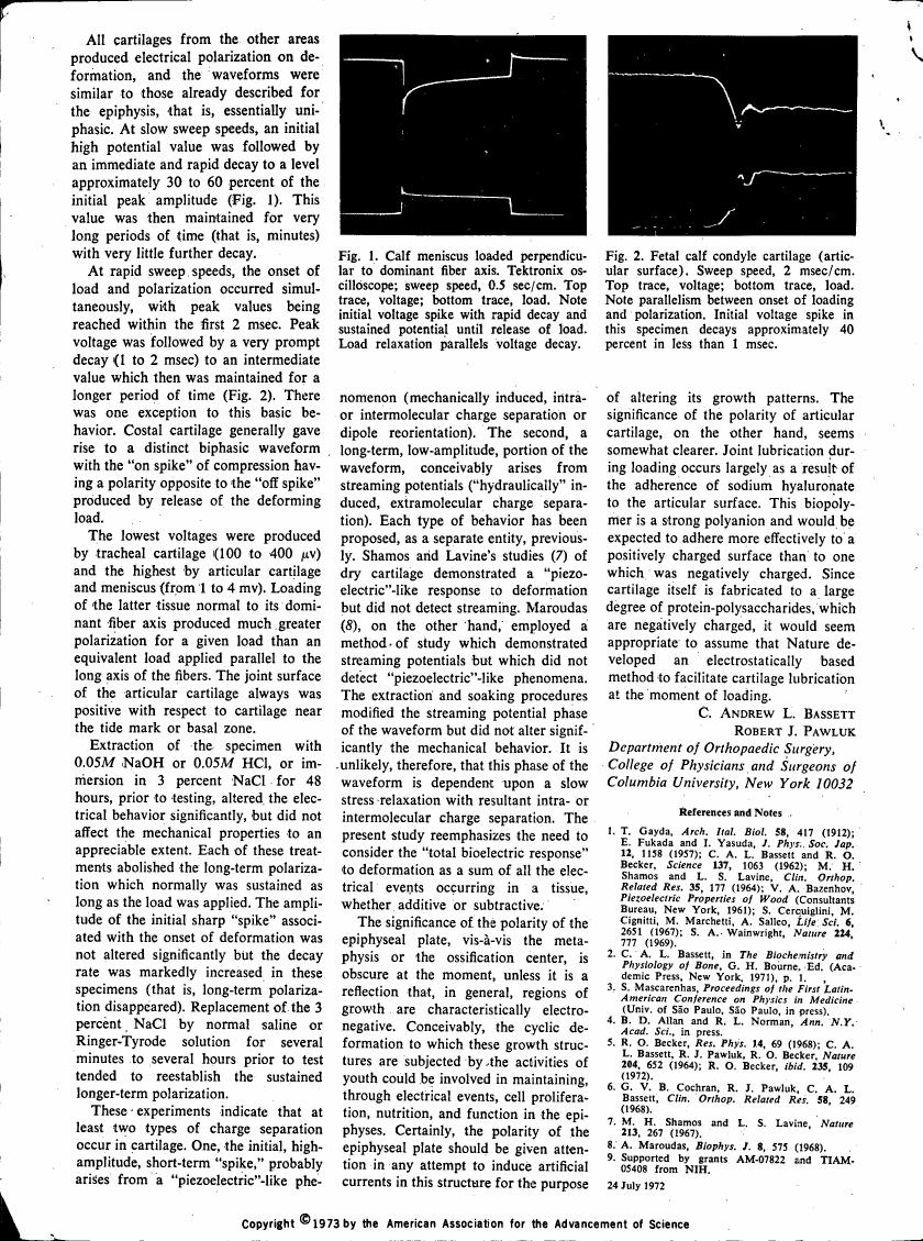 AI-described figure: Figure 1 illustrates the electrical polarization response in calf meniscus cartilage under perpendicular loading.
