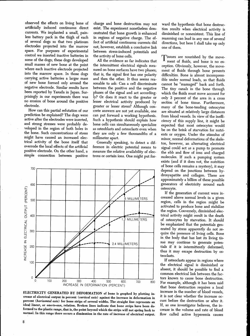 The graph illustrates the increase in electrical output (vertical axis) as a function of deformation percentage (horizontal axis), showing data for bone strips with different widths.