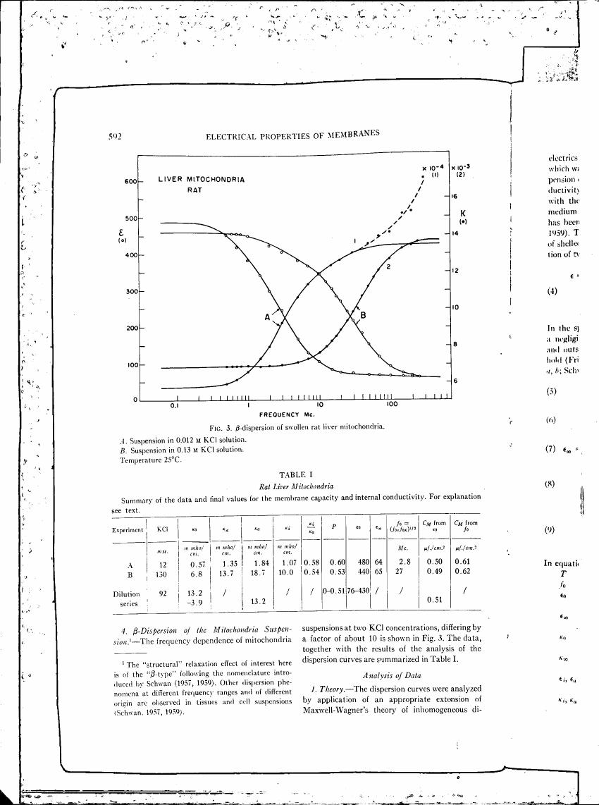 Figure 3. β-dispersion of swollen rat liver mitochondria.