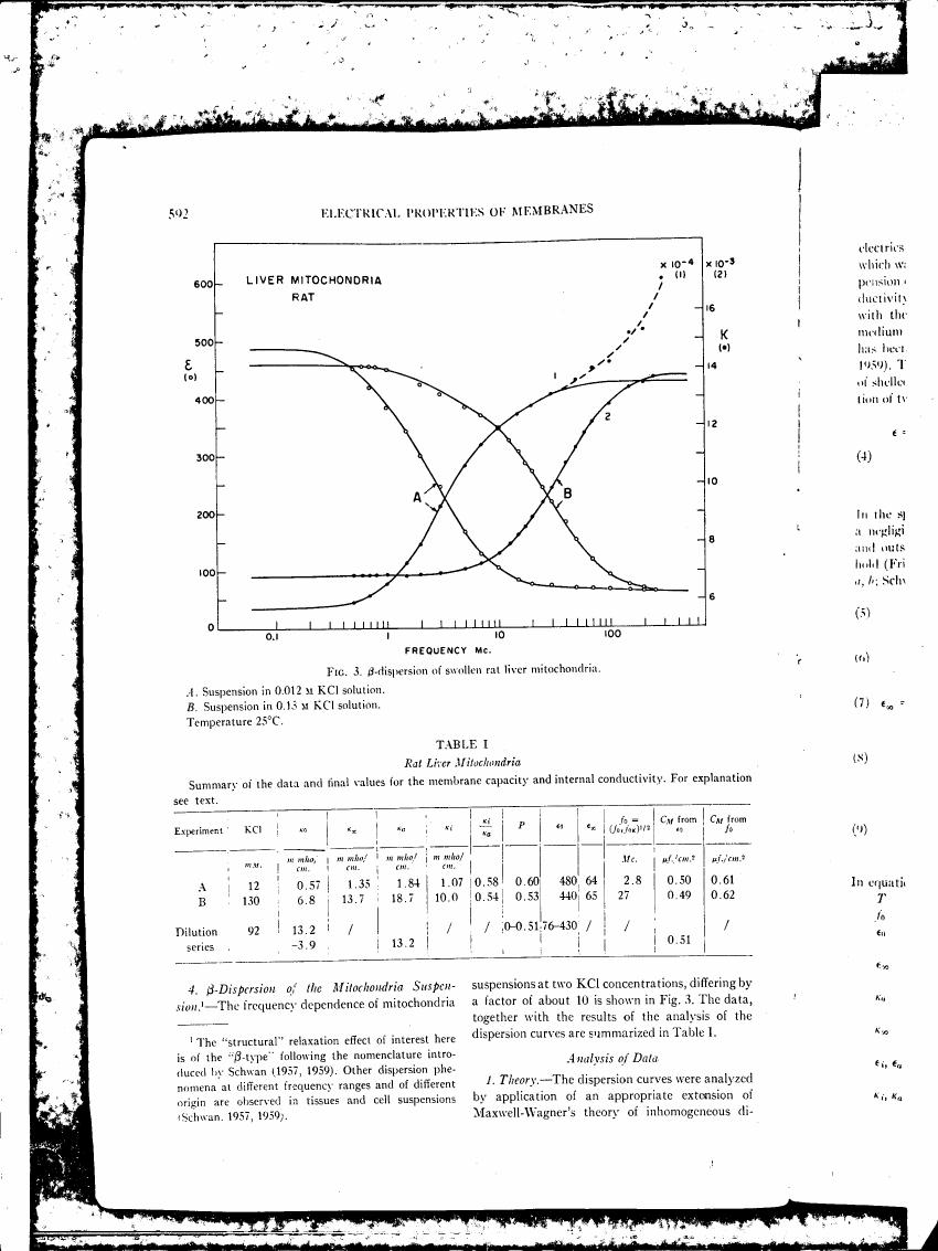 Figure 3. β-dispersion of swollen rat liver mitochondria.