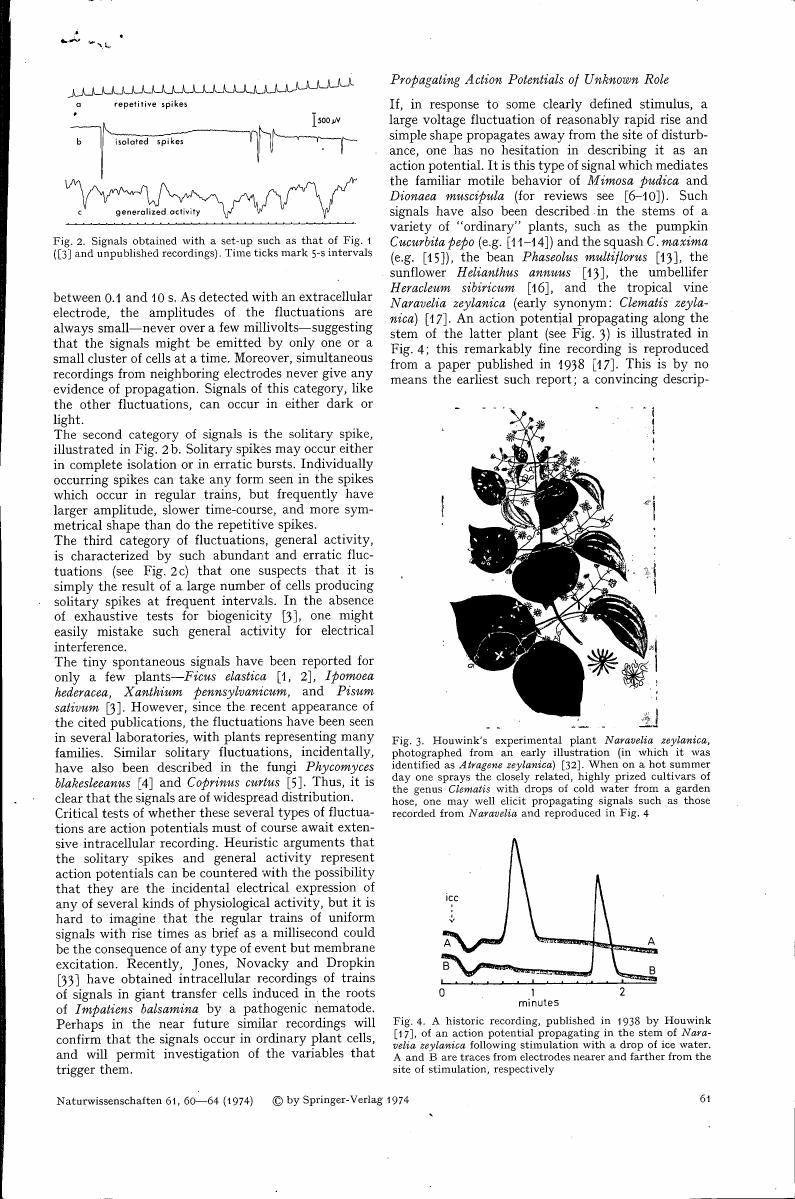 AI-described figure: Figure 2 displays signals obtained with a setup similar to that in Figure 1, illustrating repetitive spikes, isolated spikes, and generalized activity.