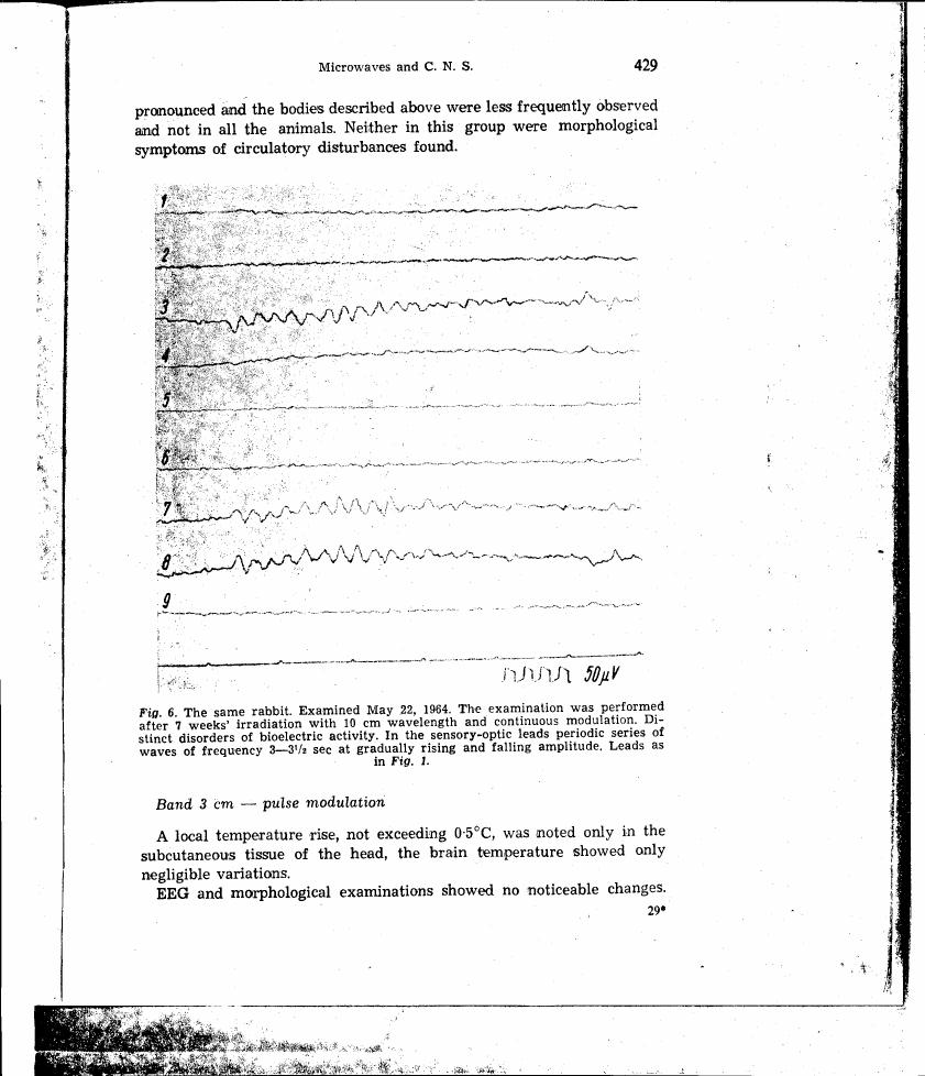 AI-described figure: Figure 6 displays electroencephalogram (EEG) traces from a rabbit examined after 7 weeks of irradiation with continuous modulation, showing periodic series of waves at specific frequencies and amplitudes.