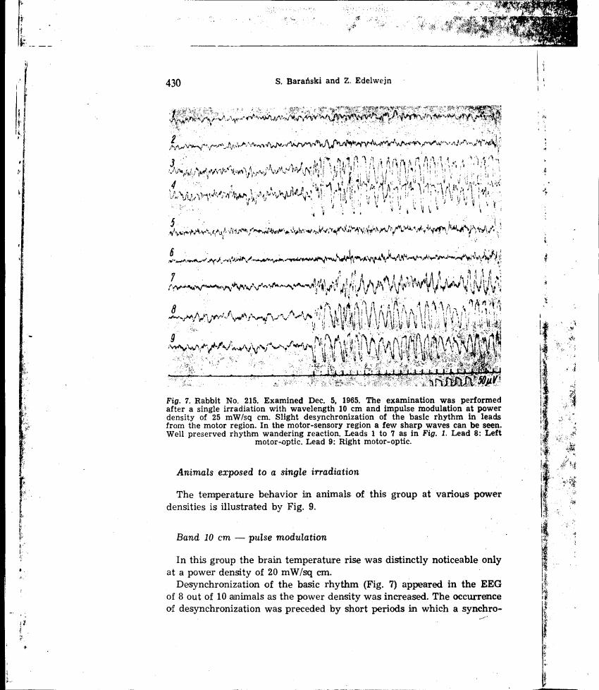 AI-described figure: Figure 7 displays EEG recordings from a rabbit after single irradiation with specific parameters.