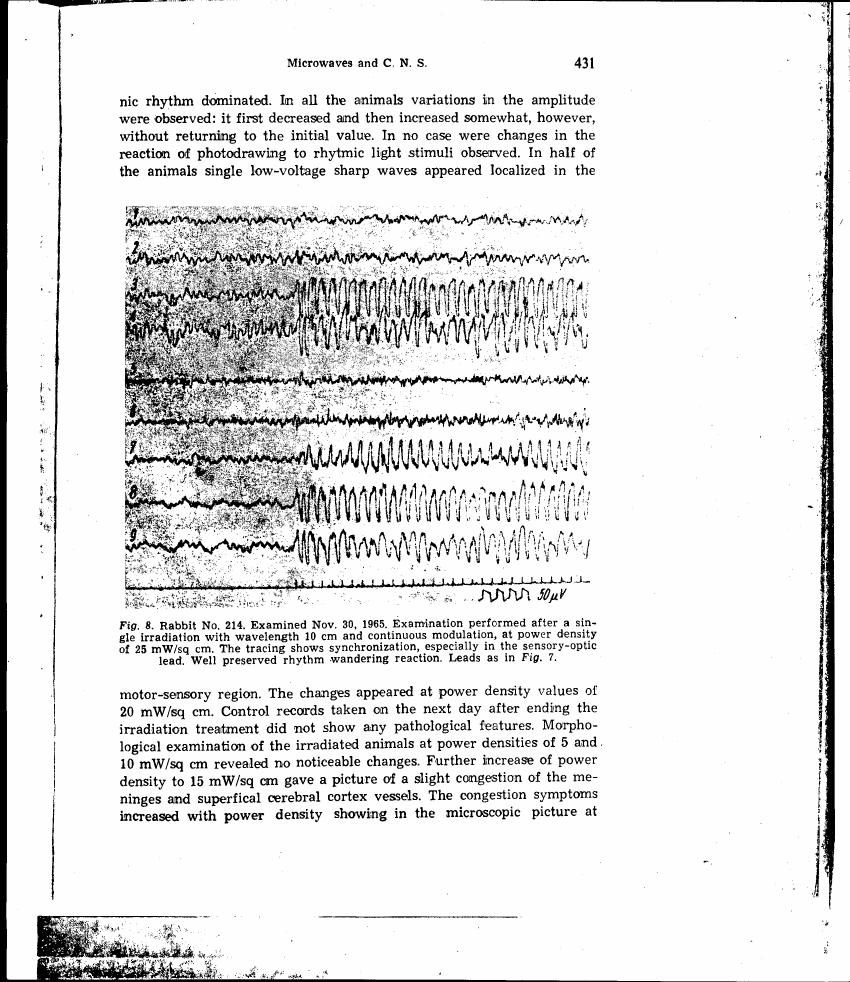 AI-described figure: Figure 8 displays a series of EEG traces from a rabbit examined on November 30, 1965, after microwave irradiation with specific parameters.