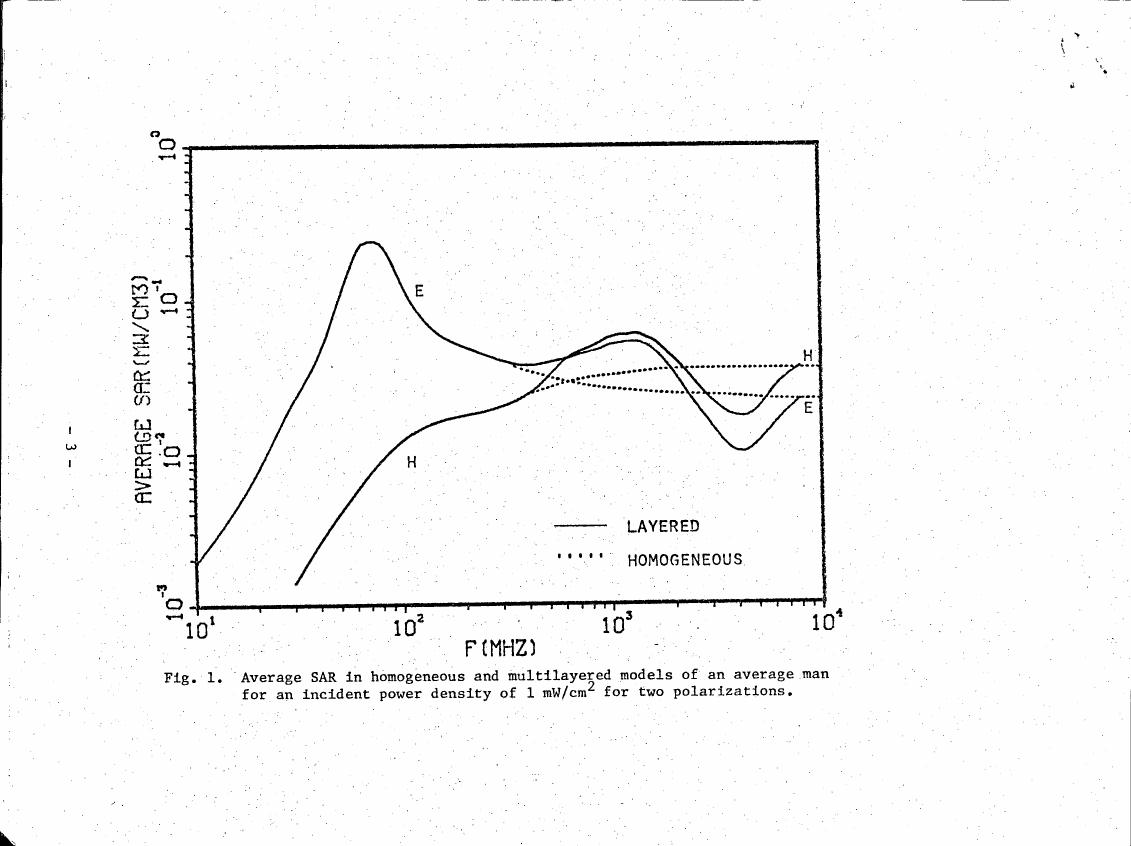 AI-described figure: Fig. 1: Average SAR in homogeneous and multilayered models of an average man for an incident power density of 1 mW/cm² for two polarizations.