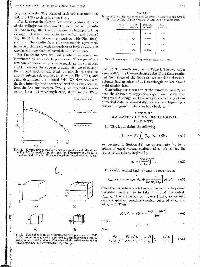 AI-described figure: Figure 12 illustrates two cubes of muscle illuminated by a plane wave at 2.45 GHz, treated as single cells and partitioned into subvolumes for electric field intensity analysis.