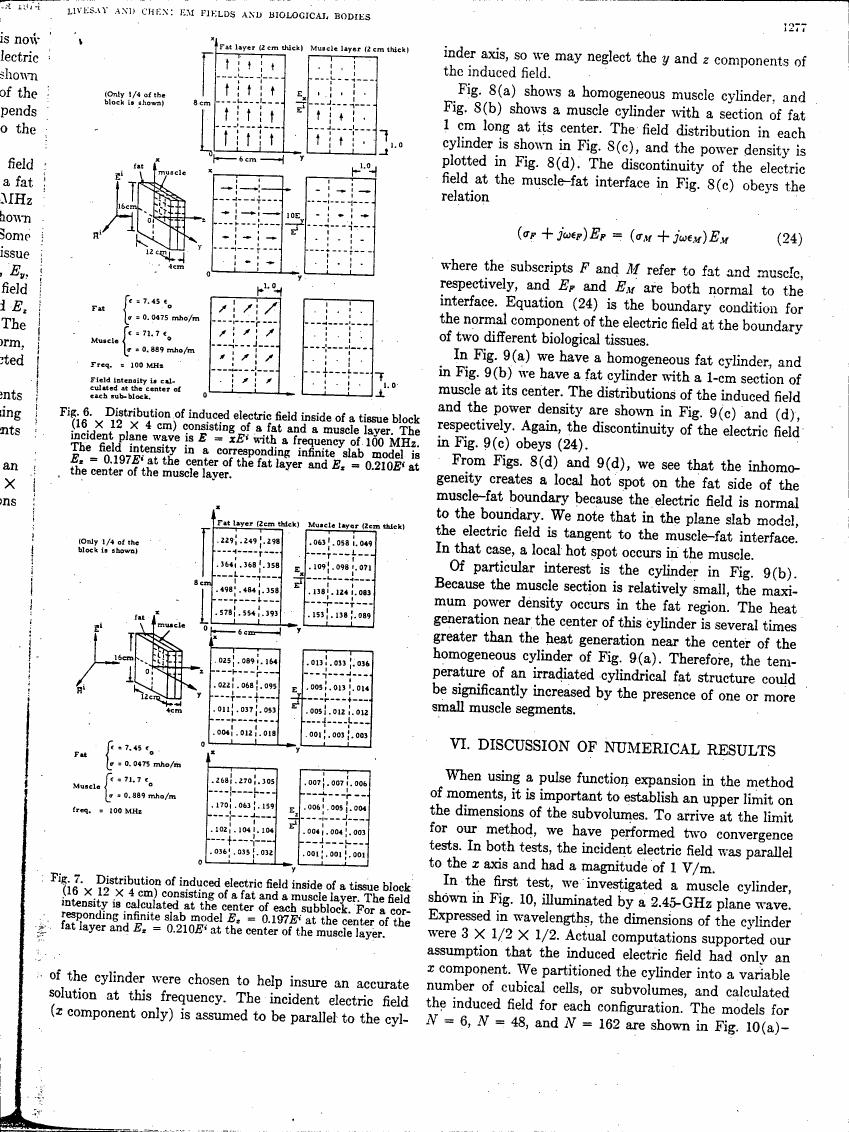 AI-described figure: Figure 6 illustrates the distribution of induced electric field intensity within a tissue block consisting of fat and muscle layers at an incident frequency of 100 MHz.