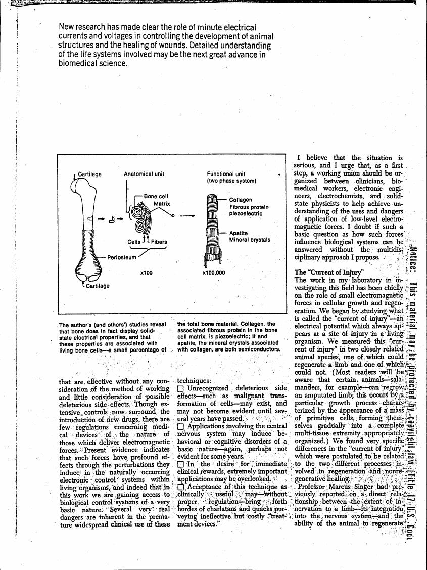 AI-described figure: The diagram illustrates a bone structure with labeled components such as cartilage, periosteum, and functional units (two-phase system), highlighting the anatomical unit and its cellular and fibrous protein composition.