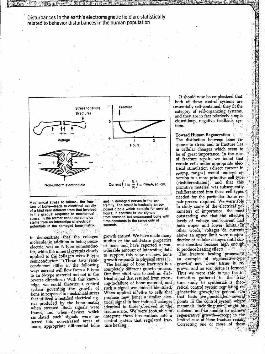 AI-described figure: The diagram illustrates a bone under stress to failure (fracture), showing voltage and non-uniform electric field effects on the bone's electrical activity.