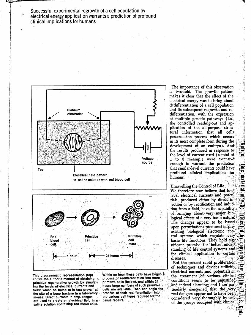 AI-described figure: The diagram illustrates a method for obtaining primitive regenerative growth by simulating electrical currents and fields in a saline solution with red blood cells.