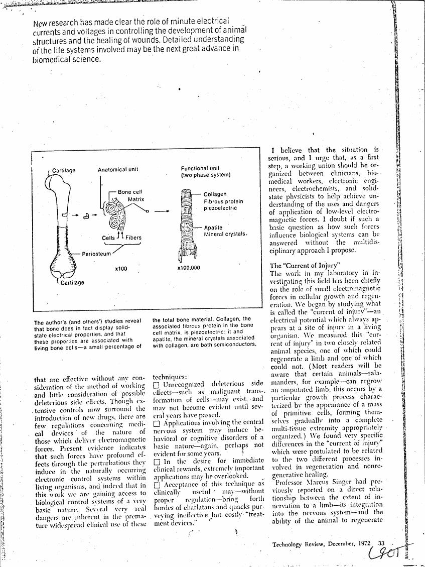 AI-described figure: The diagram illustrates a bone structure with labeled components such as cartilage, periosteum, and functional units including collagen, fibrous protein, piezoelectric, apatite, and mineral crystals.