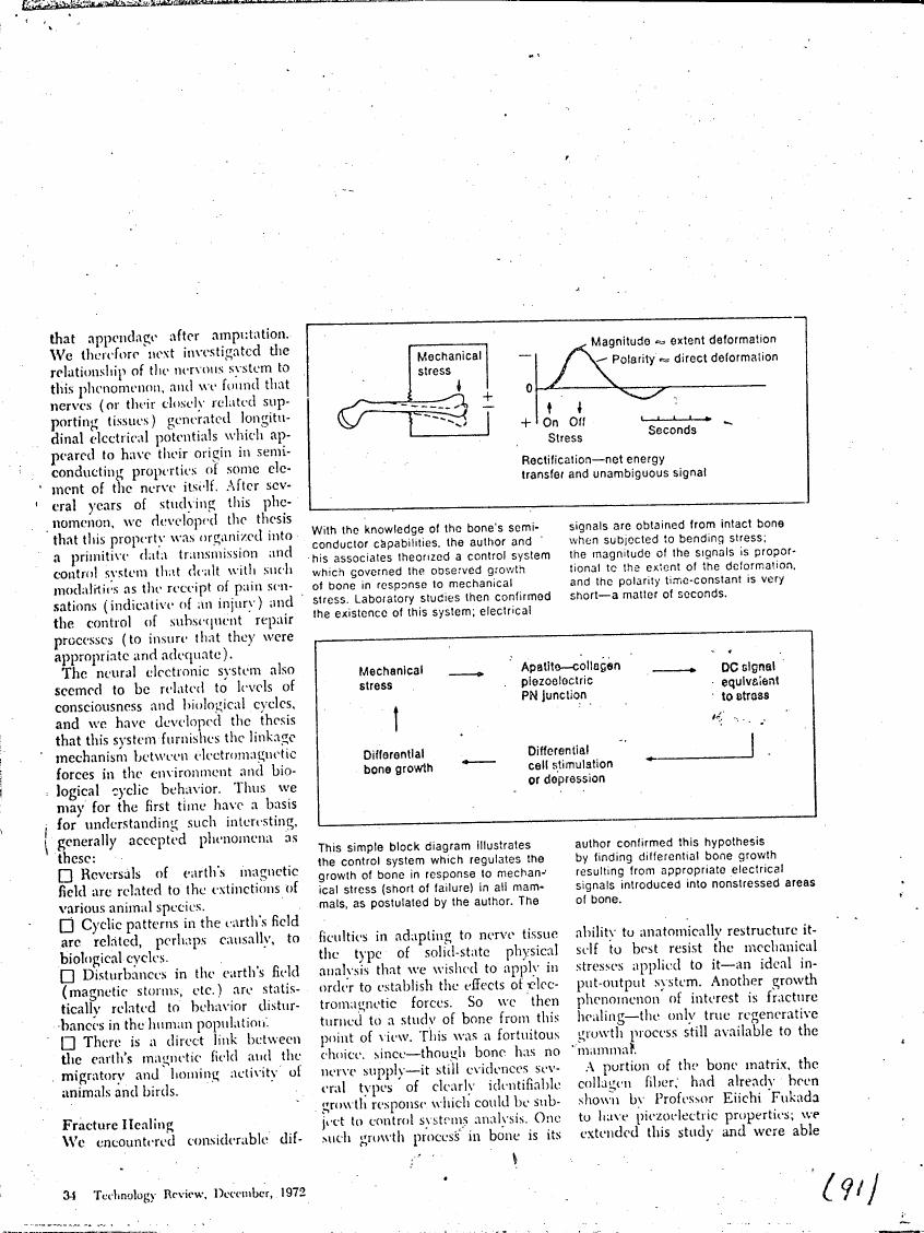 AI-described figure: A block diagram illustrating a control system for bone growth in response to mechanical stress.