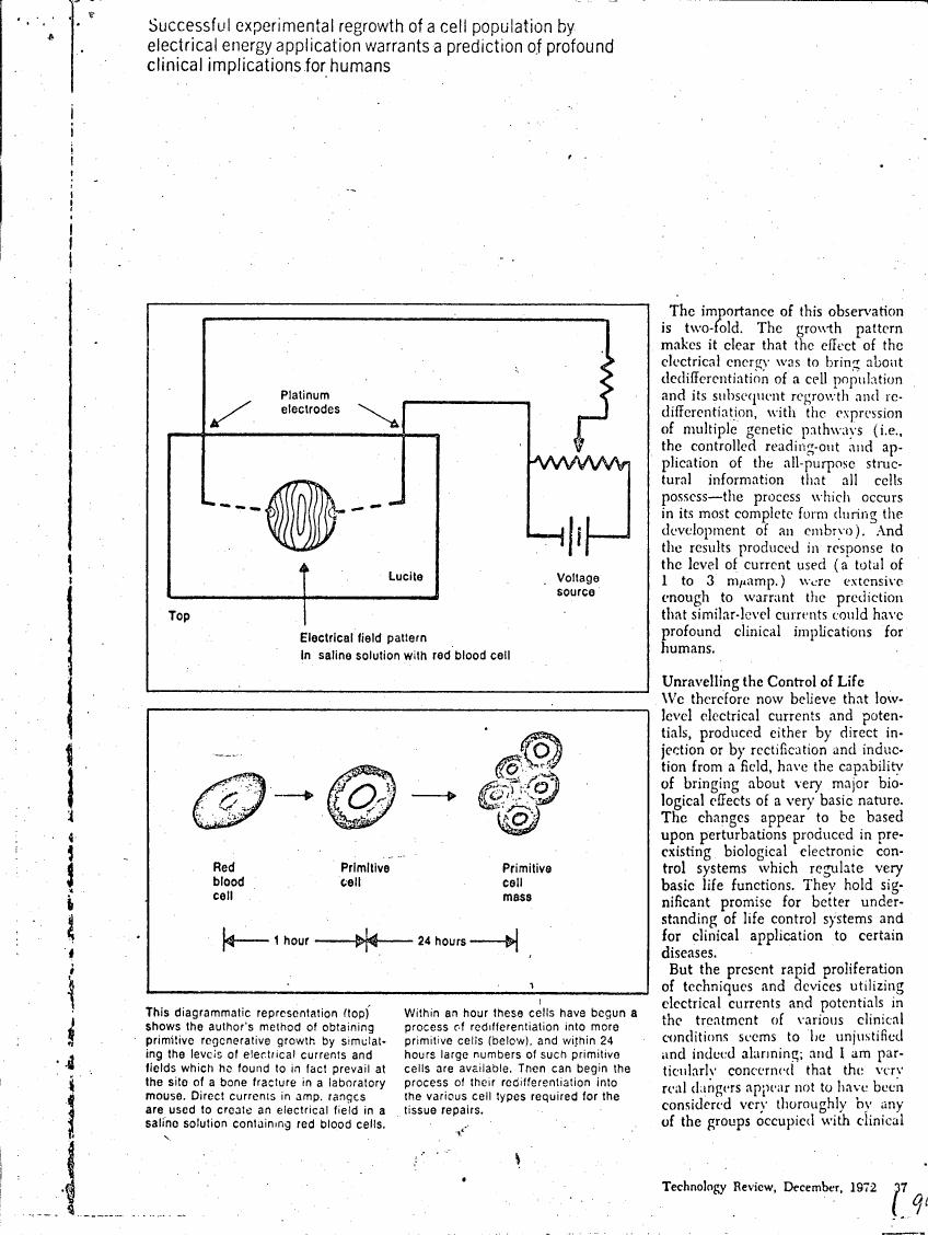 AI-described figure: The diagram illustrates a method for obtaining primitive regenerative growth by simulating electrical currents and fields in a saline solution containing red blood cells.