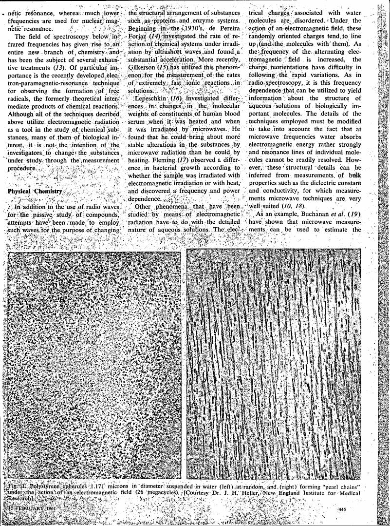 Figure showing polystyrene spherules suspended in water under random orientation (left) and forming 'pearl chains' under electromagnetic field action (right).