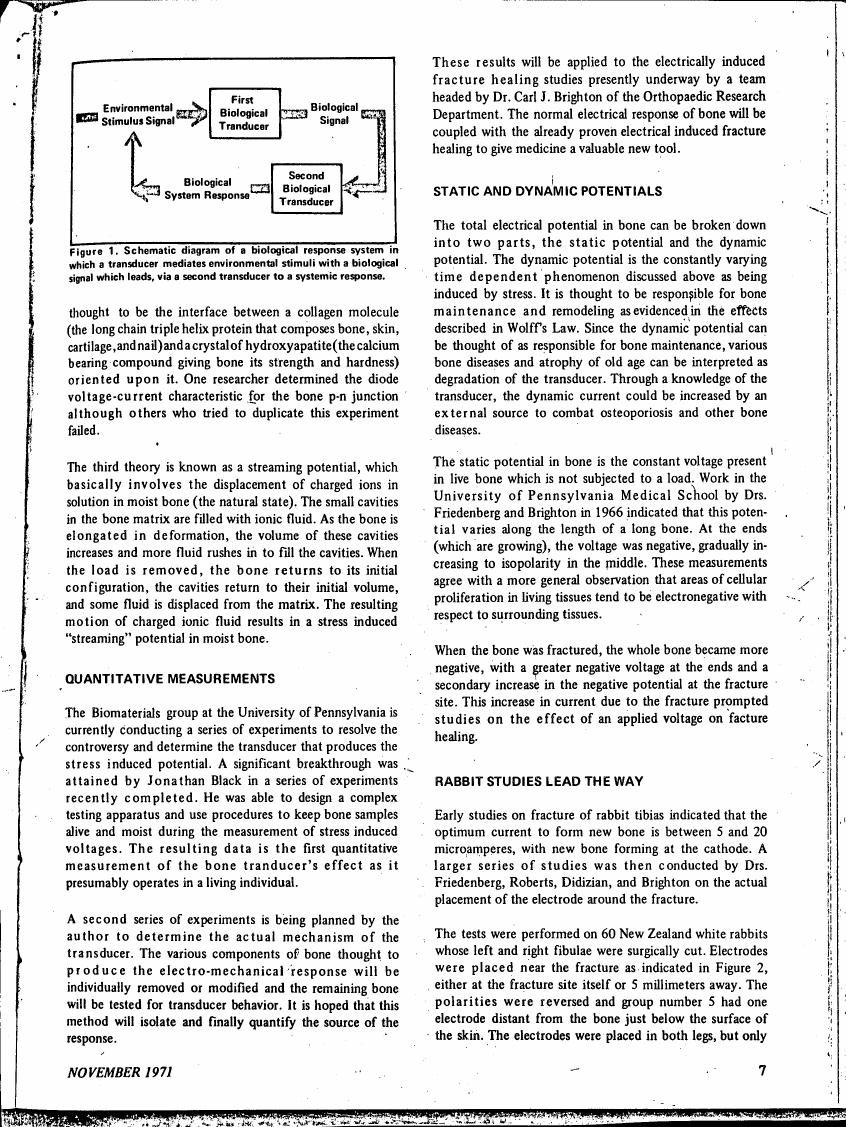 Figure 1. Schematic diagram of a biological response system in which a transducer mediates environmental stimuli with a biological signal which leads, via a second transducer to a systemic response.