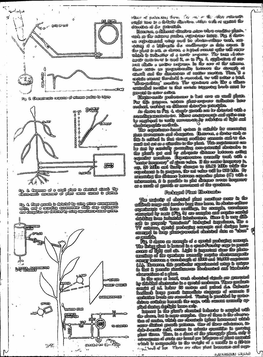 AI-described figure: Fig. 3 illustrates the response of a small plant to electrical stimuli, plotting electro-nastic movement versus current.