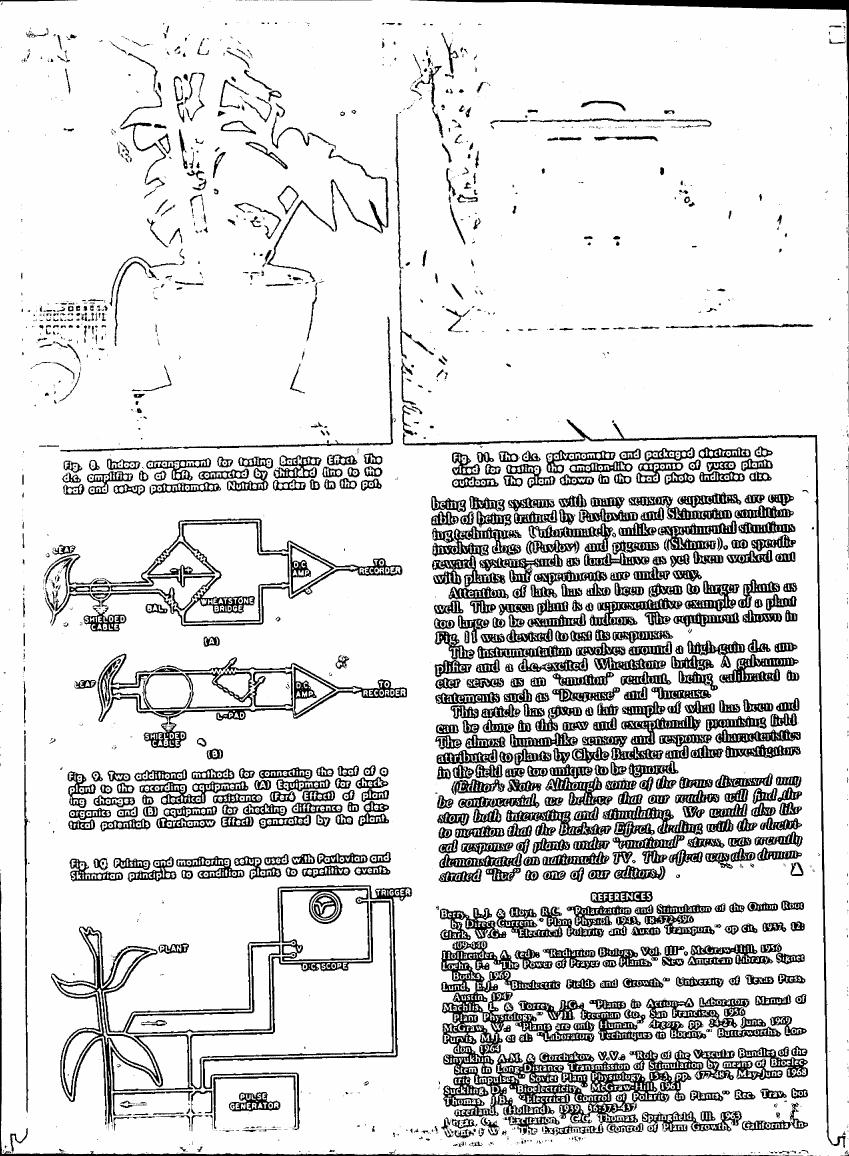 AI-described figure: Fig. 9 illustrates two methods for connecting a plant's leaf to recording equipment to measure electrical resistance changes (Backster Effect) and differences in electrical potentials (Faraday Effect).