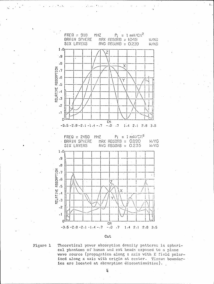 Figure 1: Theoretical power absorption density patterns in spherical phantoms of human and cat heads exposed to a plane wave source.