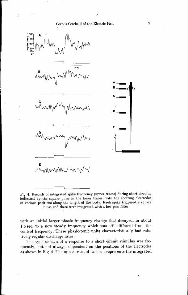 Fig. 4: Records of integrated spike frequency during short circuits indicated by square pulses.