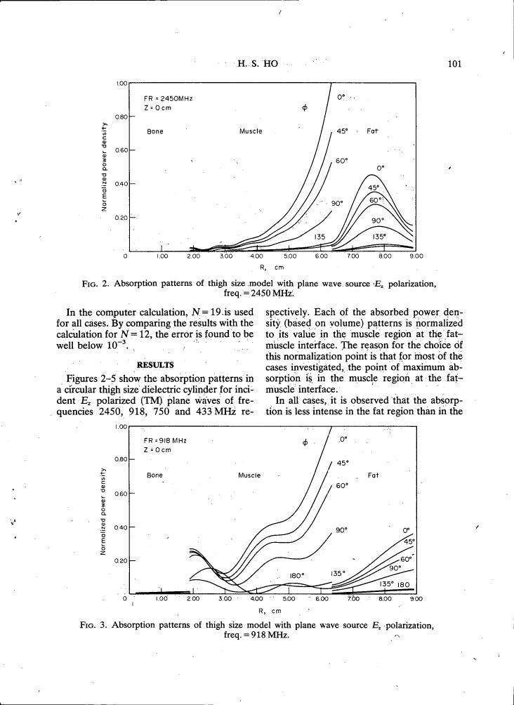 Fig. 2: Absorption patterns of thigh size model with plane wave source E polarization, freq. = 2450 MHz.