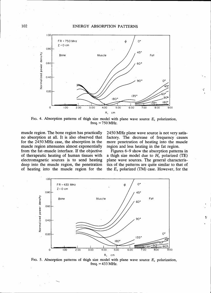 Figure 4. Absorption patterns of thigh size model with plane wave source Ez polarization, freq = 750 MHz.