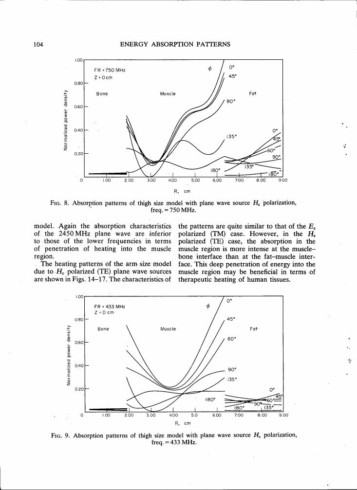 Figure 8. Absorption patterns of thigh size model with plane wave source Hz polarization, freq. = 750 MHz.