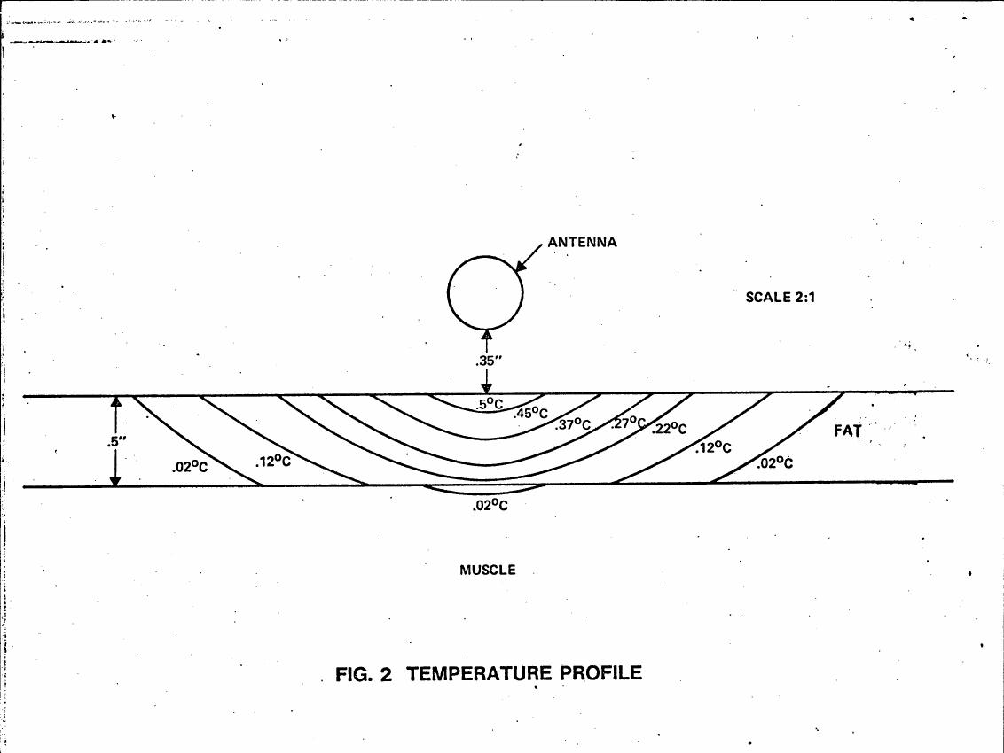 AI-described figure: Figure 2: Temperature profile showing temperature variations across muscle and fat layers with an antenna positioned above.