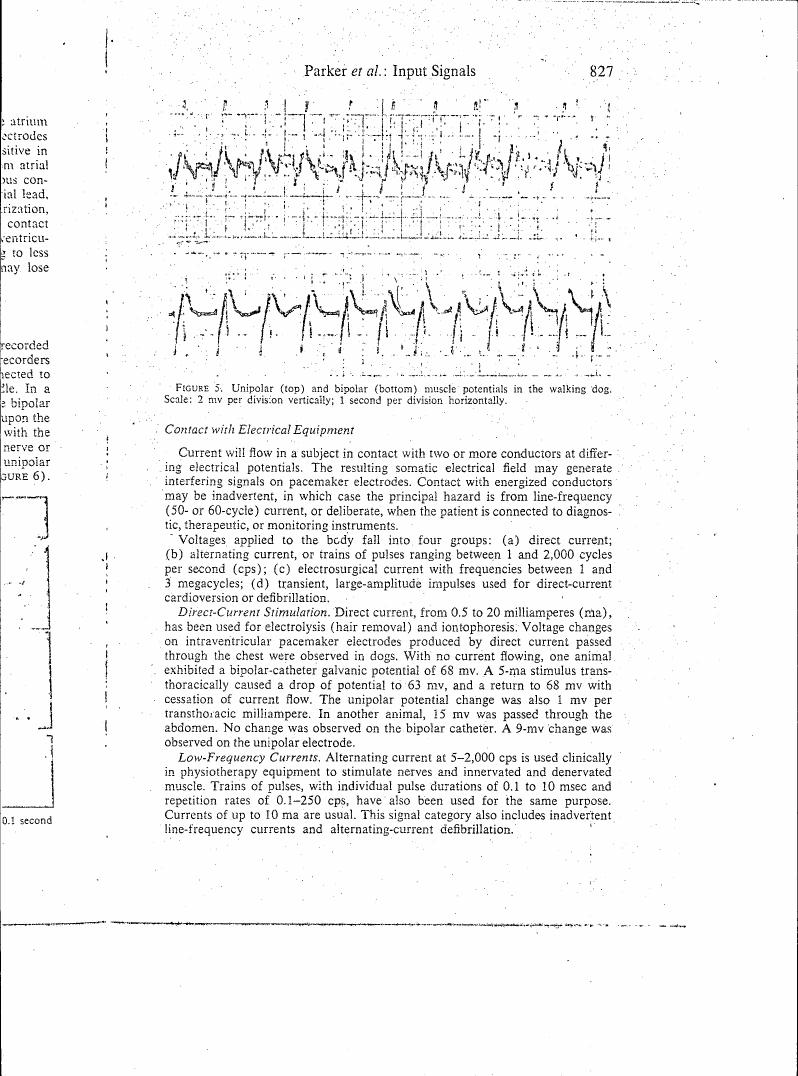 Figure 5. Unipolar (top) and bipolar (bottom) muscle potentials in the walking dog.