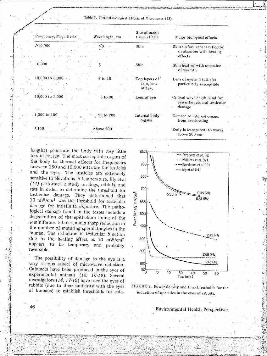 AI-described figure: Figure 2. Power density and time thresholds for the induction of opacities in the eyes of rabbits.