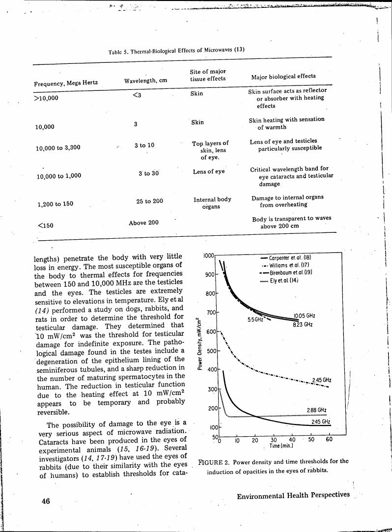 Figure 2. Power density and time thresholds for the induction of opacities in the eyes of rabbits.