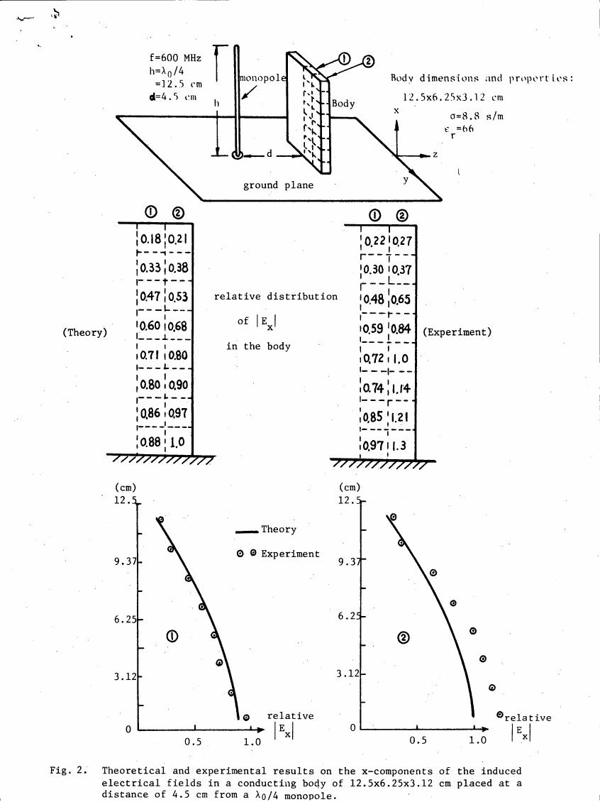 Fig. 2: Theoretical and experimental results on the x-components of the induced electrical fields in a conducting body placed at a distance from a λ0/4 monopole.