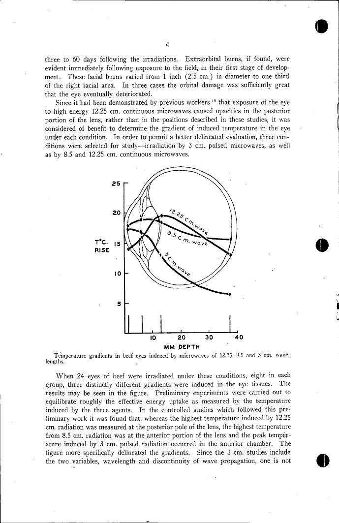 Temperature gradients in beef eyes induced by microwaves of different wavelengths.