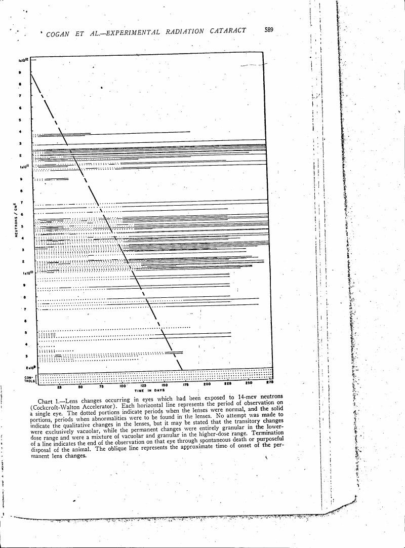 AI-described figure: Chart showing lens changes in eyes exposed to neutrons over time.