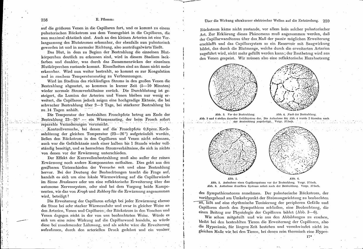AI-described figure: Microscopic images showing capillary systems before and after radiation exposure (Figures 3-6).