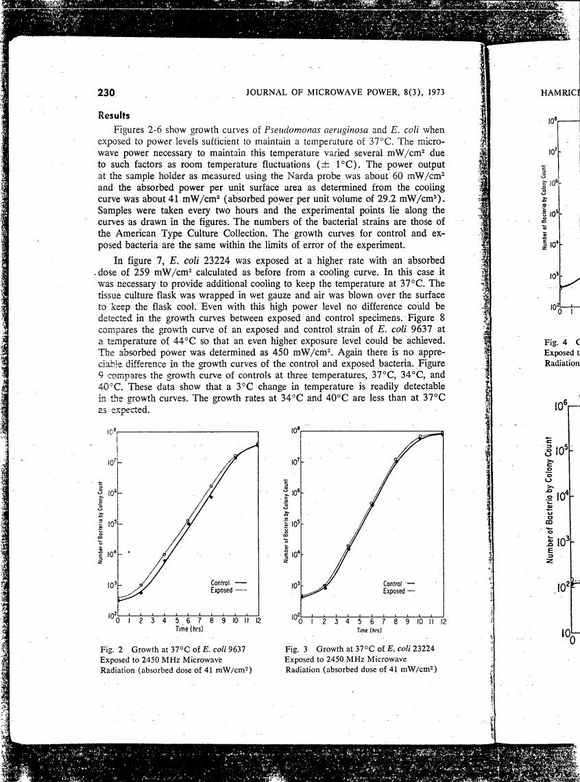 Figure 2: Growth at 37°C of E. coli 9637 Exposed to 2450 MHz Microwave Radiation (absorbed dose of 41 mW/cm²)