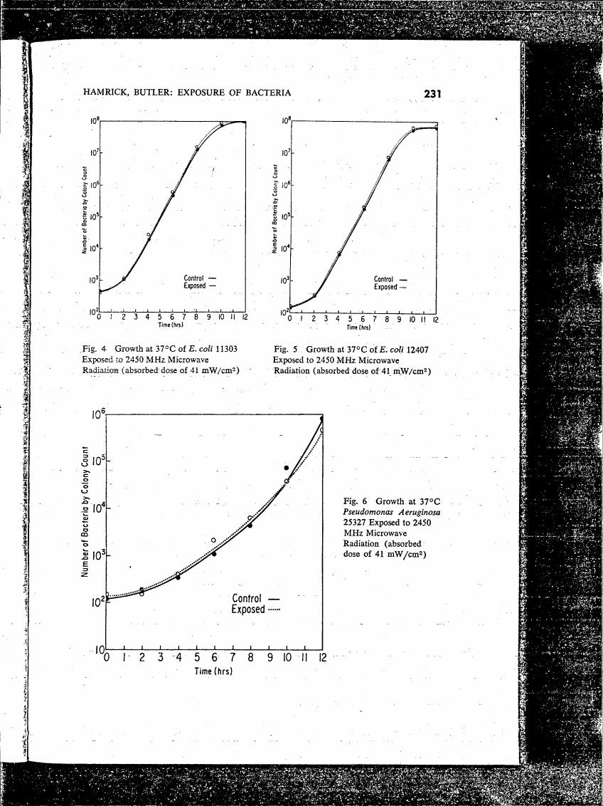 AI-described figure: Growth curves at 37°C for E. coli strains exposed to microwave radiation.