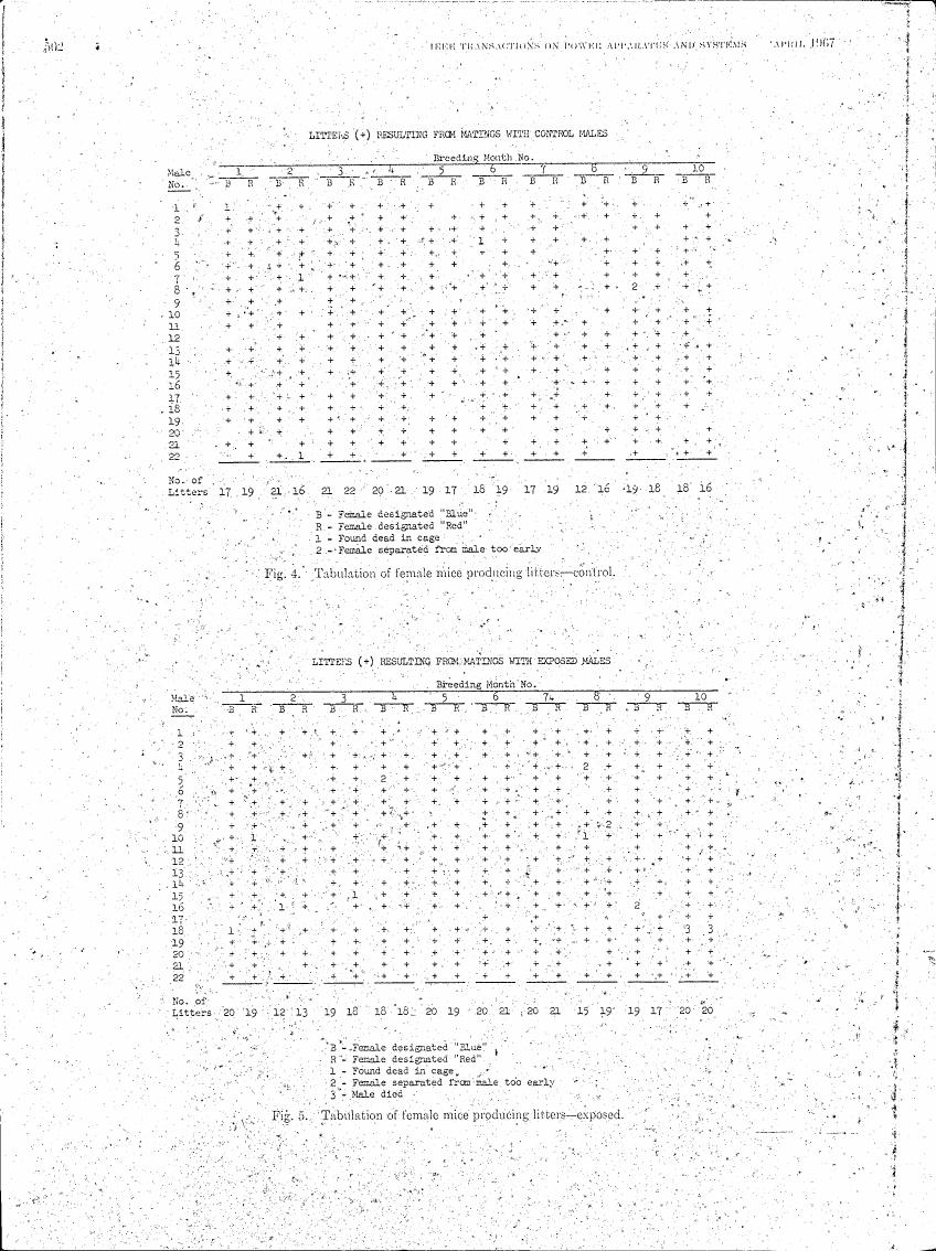 AI-described figure: Fig. 4 and Fig. 5 show tabulations of female mice producing litters for control and exposed males respectively.