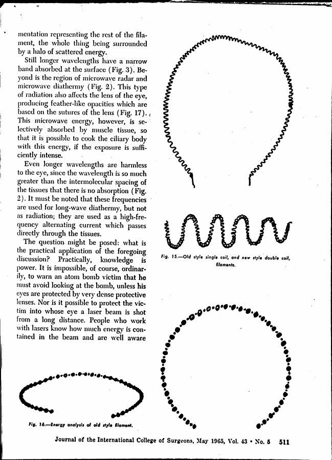 AI-described figure: Figures showing different types of filament structures and their energy analysis.
