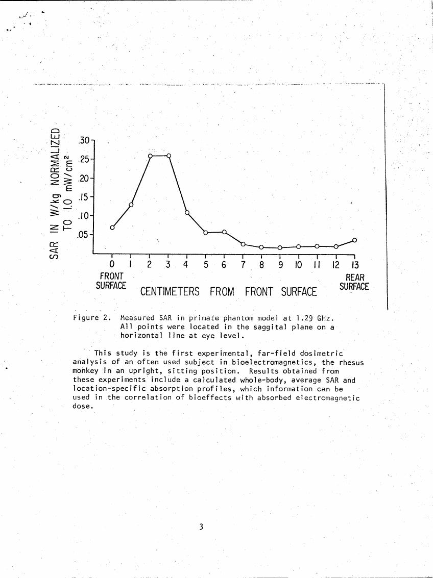 Figure 2. Measured SAR in primate phantom model at 1.29 GHz.