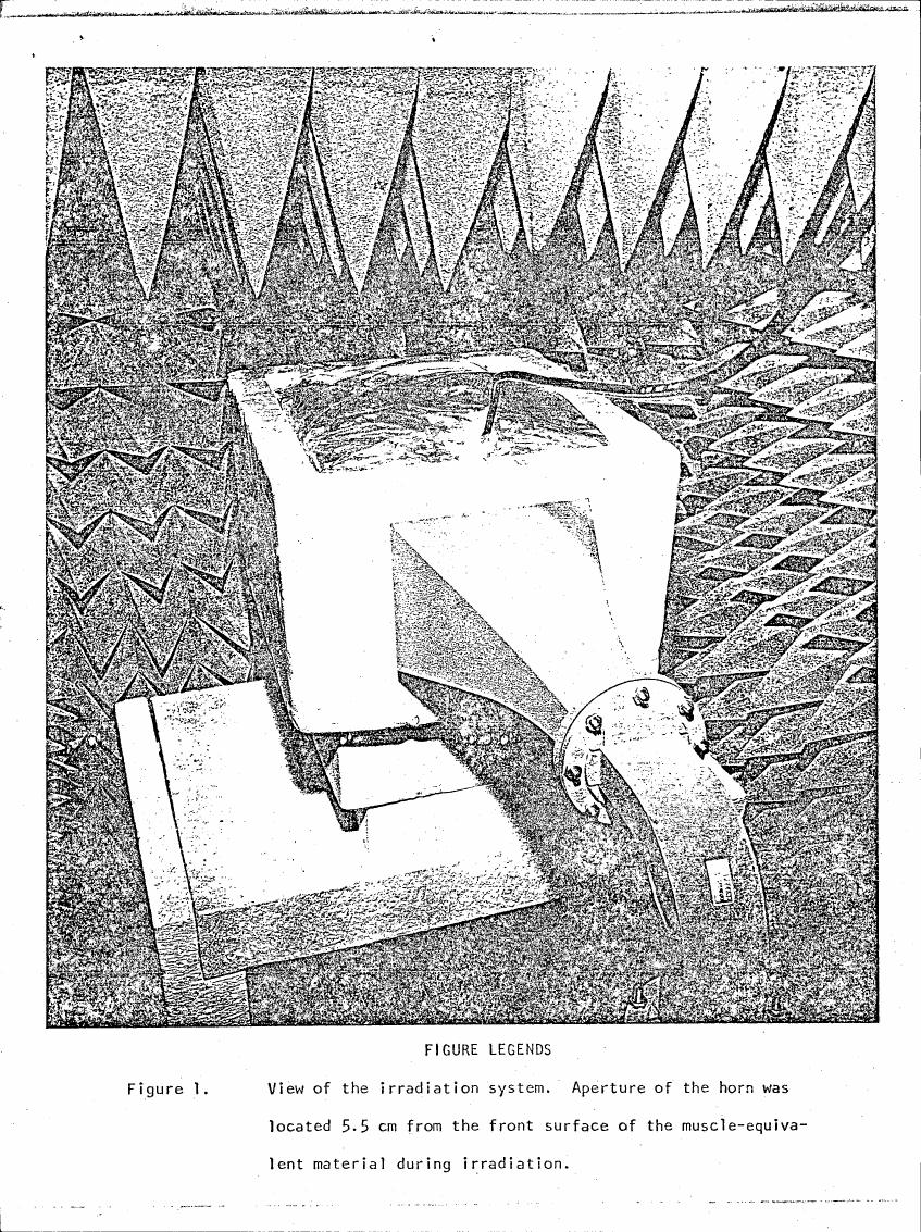 Figure 1. View of the irradiation system with a horn aperture located 5.5 cm from muscle-equivalent material during irradiation.