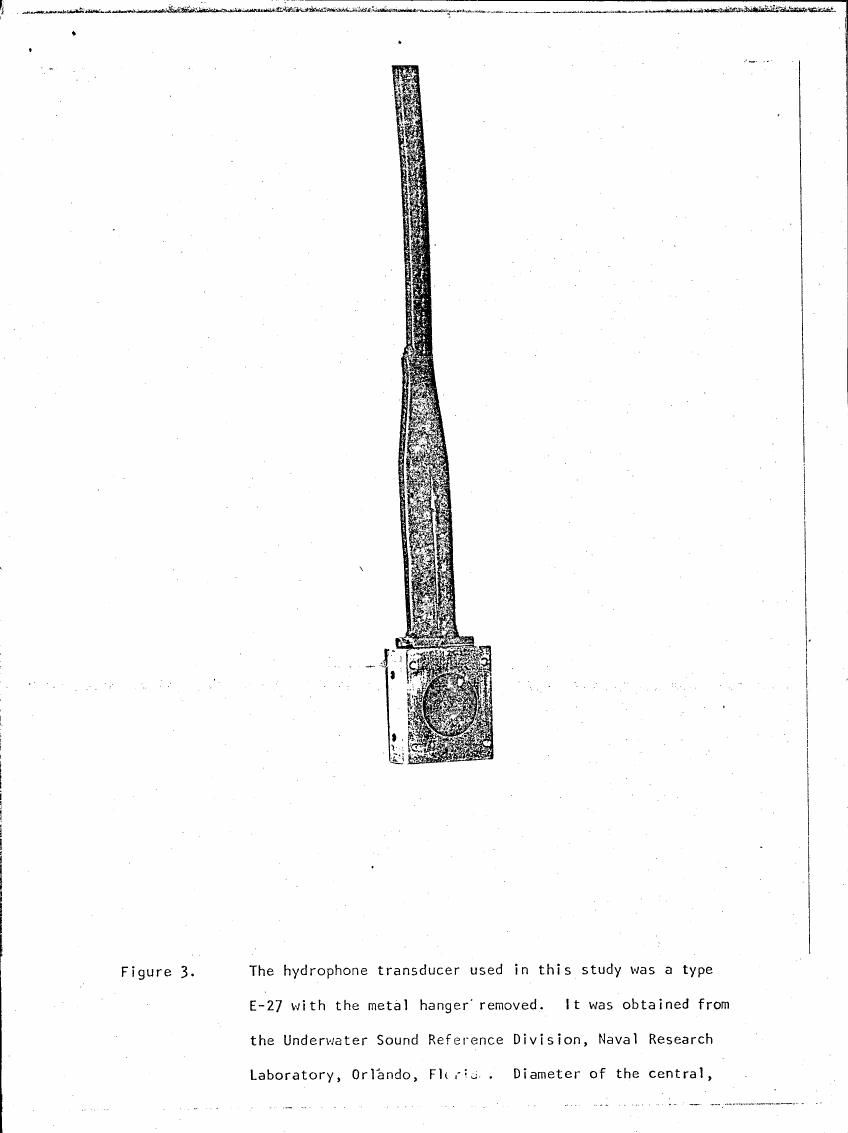 AI-described figure: Figure 3. A photograph of a hydrophone transducer used in this study.
