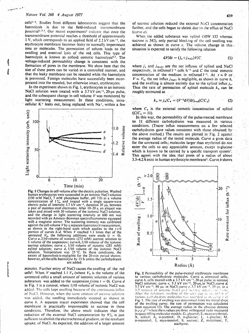 AI-described figure: Fig. 1 illustrates changes in cell volume after electric pulsation, showing light scattering intensity over time for different conditions.