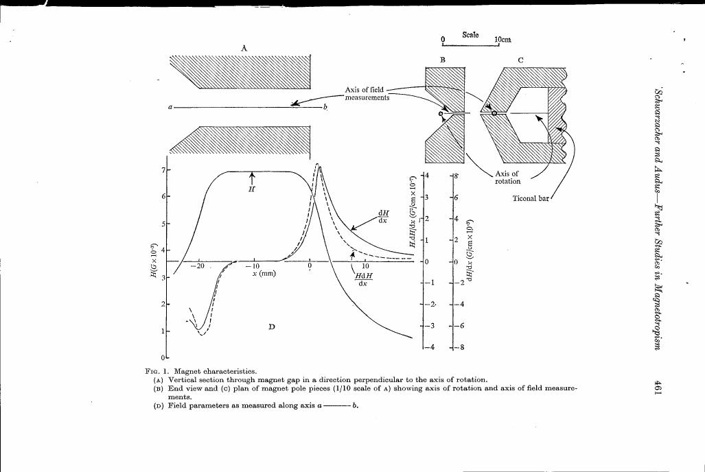 AI-described figure: Figure 1. Magnet characteristics showing magnetic field strength (H) and its derivative along a vertical section through the magnet gap perpendicular to the axis of rotation.