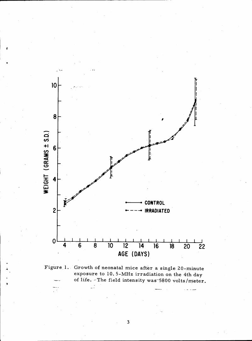 Figure 1. Growth of neonatal mice after a single 20-minute exposure to 10.5-MHz irradiation on the 4th day of life.