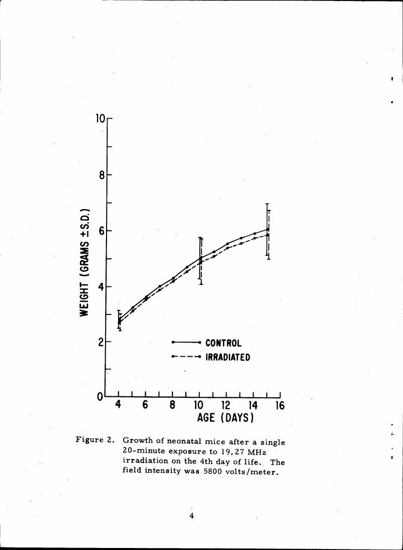Figure 2. Growth of neonatal mice after a single 20-minute exposure to 19.27 MHz irradiation on the 4th day of life.