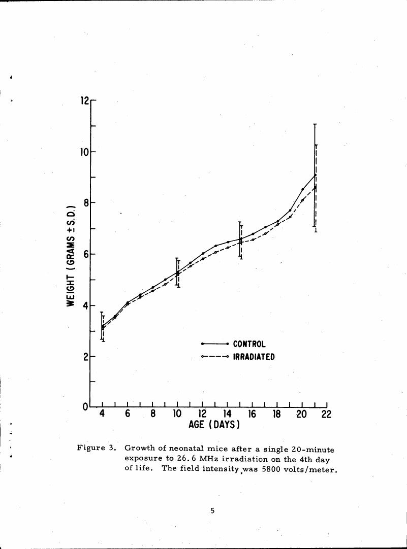 Figure 3. Growth of neonatal mice after a single 20-minute exposure to 26.6 MHz irradiation on the 4th day of life.