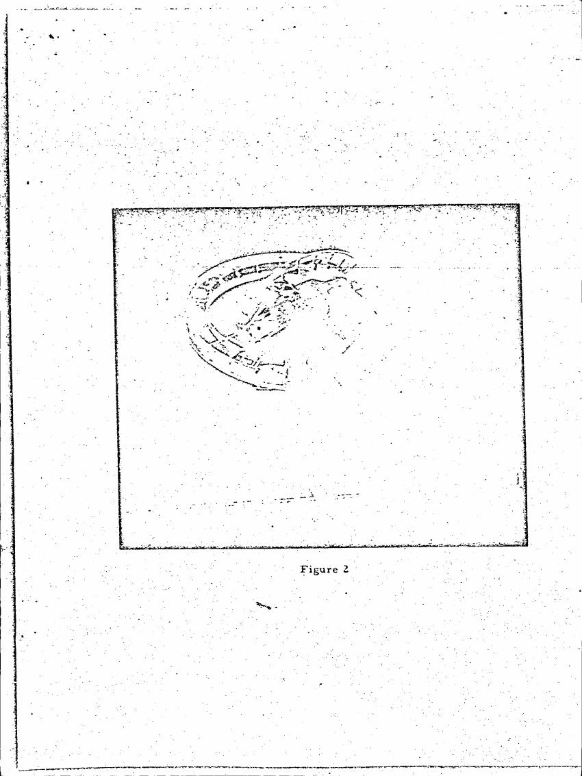 AI-described figure: Figure 2 depicts a circular diagram with various labeled sections and lines, possibly representing a scientific concept or process.