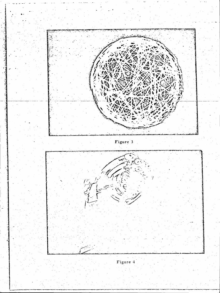 AI-described figure: Figure 3 displays a complex geometric pattern resembling a mandala or intricate lattice structure. Figure 4 appears to show a fragmented or abstract representation, possibly related to the scientific context of the paper.