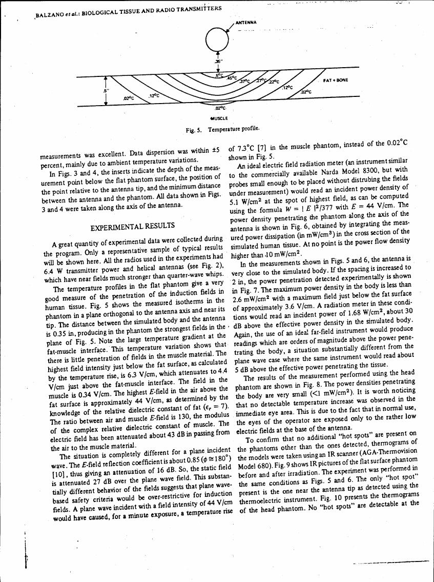 AI-described figure: Temperature profile in a phantom with various tissue layers and antenna placement